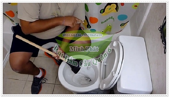 Cây thông bồn cầu giá bao nhiêu