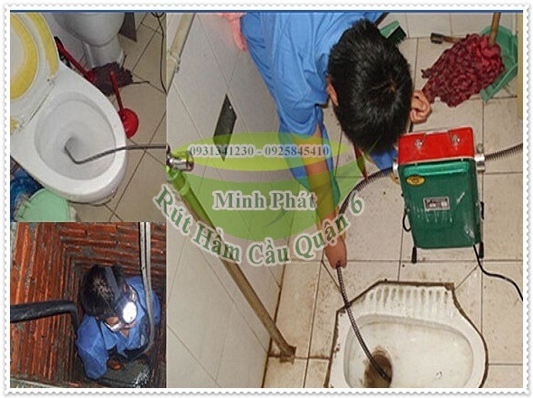 Giá của cây thông bồn cầu