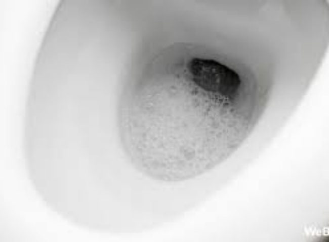 Phương pháp khắc phục mùi hôi bồn cầu